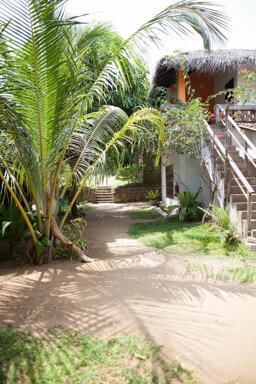 East Surf Cabana Аругам Экстерьер фото